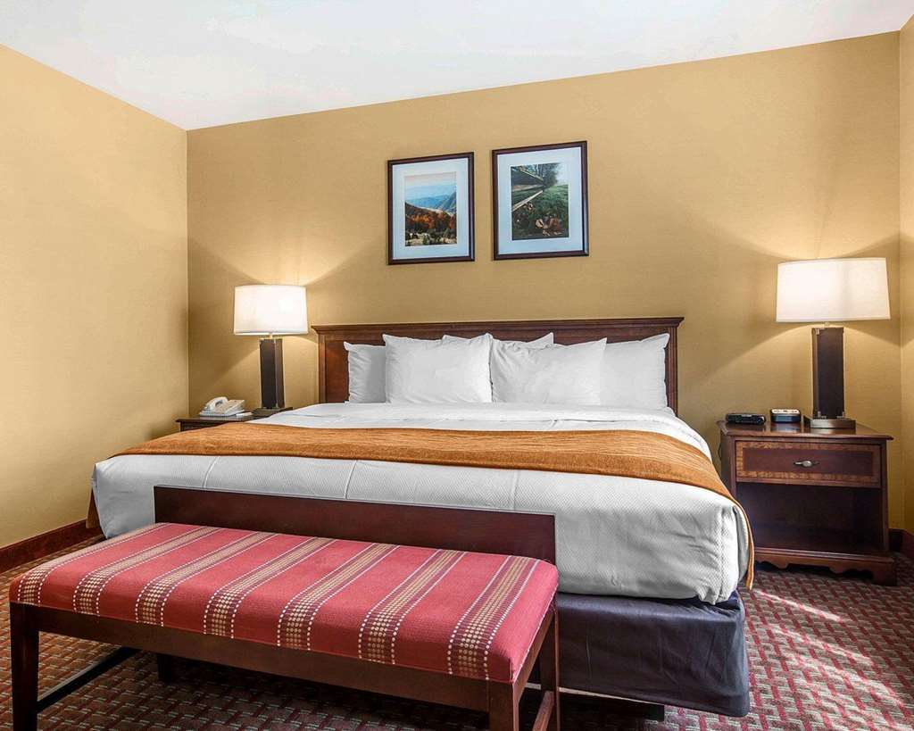 Comfort Inn & Suites Near Burke Mountain Сейнт Джонсбъри Стая снимка